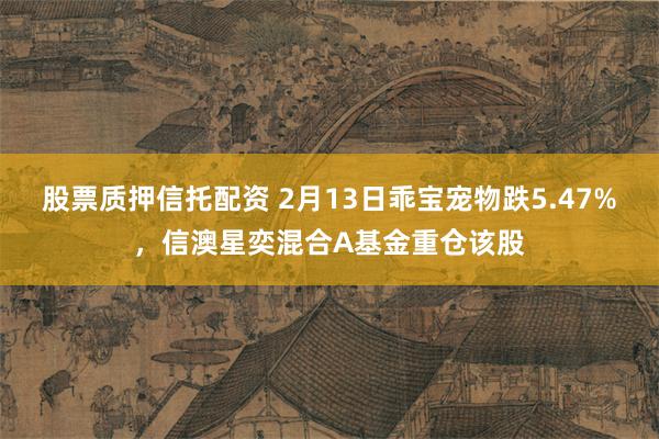 股票质押信托配资 2月13日乖宝宠物跌5.47%，信澳星奕混合A基金重仓该股
