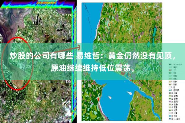 炒股的公司有哪些 易维哲：黄金仍然没有见顶，原油继续维持低位震荡。