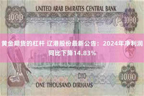 黄金期货的杠杆 辽港股份最新公告：2024年净利润同比下降14.83%