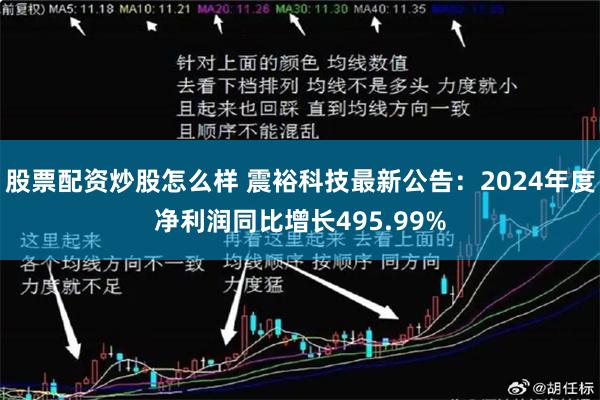 股票配资炒股怎么样 震裕科技最新公告：2024年度净利润同比增长495.99%