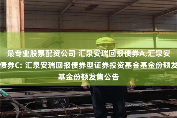 最专业股票配资公司 汇泉安瑞回报债券A,汇泉安瑞回报债券C: 汇泉安瑞回报债券型证券投资基金基金份额发售公告