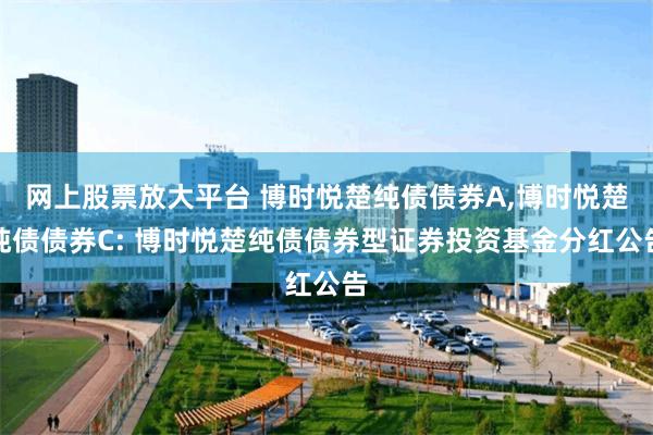 网上股票放大平台 博时悦楚纯债债券A,博时悦楚纯债债券C: 博时悦楚纯债债券型证券投资基金分红公告