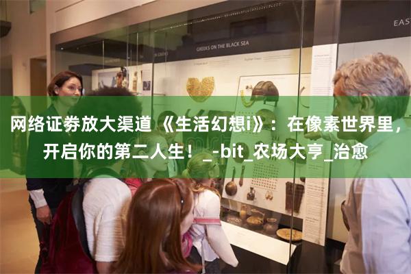 网络证劵放大渠道 《生活幻想i》：在像素世界里，开启你的第二人生！_-bit_农场大亨_治愈
