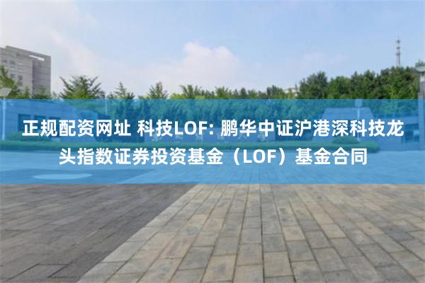 正规配资网址 科技LOF: 鹏华中证沪港深科技龙头指数证券投资基金(LOF)基金合同