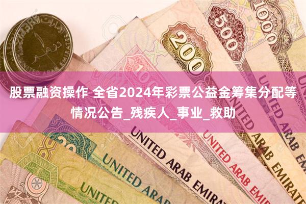 股票融资操作 全省2024年彩票公益金筹集分配等情况公告_残疾人_事业_救助