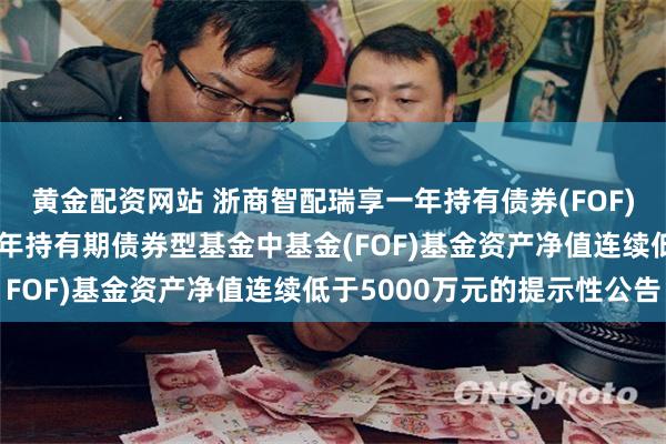 黄金配资网站 浙商智配瑞享一年持有债券(FOF): 关于浙商智配瑞享一年持有期债券型基金中基金(FOF)基金资产净值连续低于5000万元的提示性公告