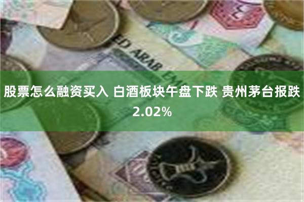股票怎么融资买入 白酒板块午盘下跌 贵州茅台报跌2.02%