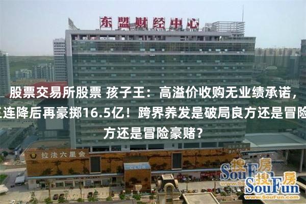 股票交易所股票 孩子王：高溢价收购无业绩承诺，净利三连降后再豪掷16.5亿！跨界养发是破局良方还是冒险豪赌？
